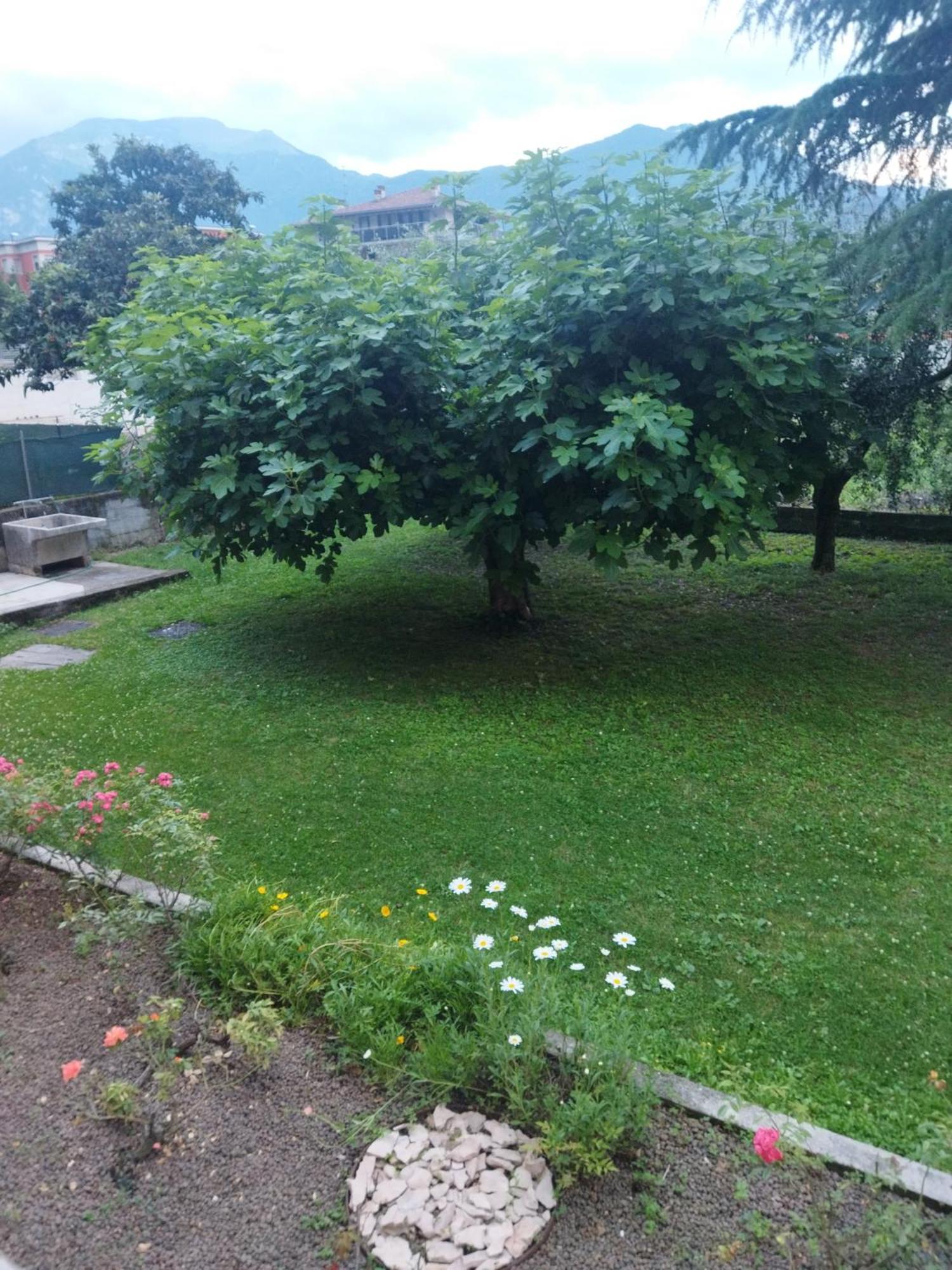 Appartement Rose Garden House Wi-Fi à Riva del Garda Extérieur photo